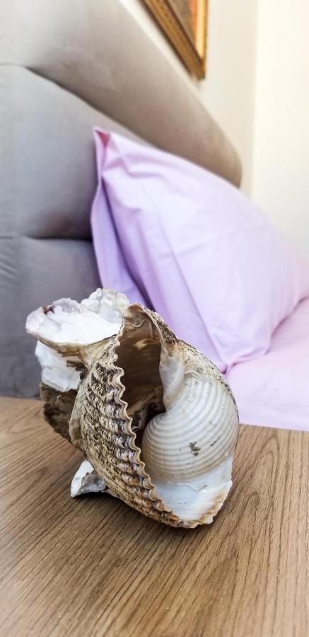 Center Cute And Comfy - Ajia Apartment